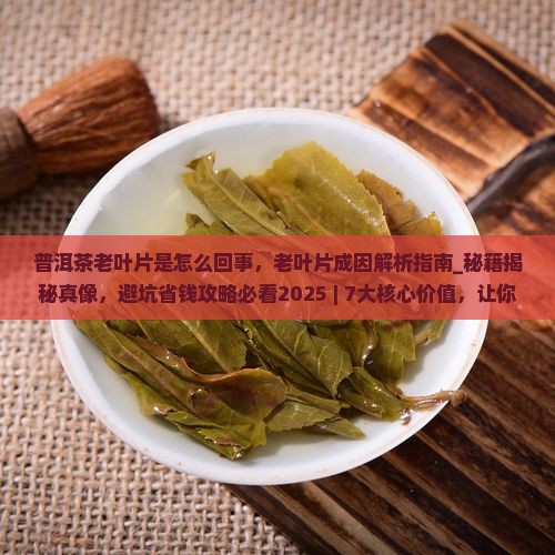 普洱茶老叶片是怎么回事 普洱茶老叶片是怎么回事