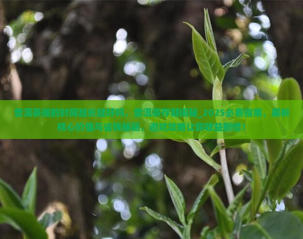 普洱茶搁的时间越长越好吗