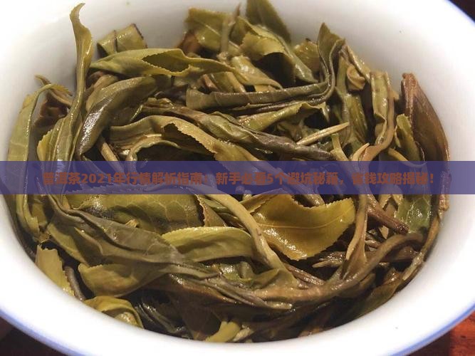普洱茶2021年行情