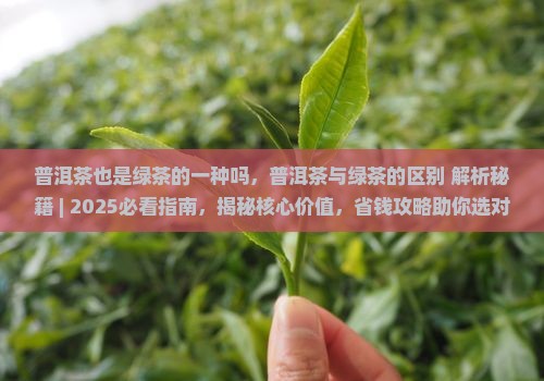 普洱茶也是绿茶的一种吗
