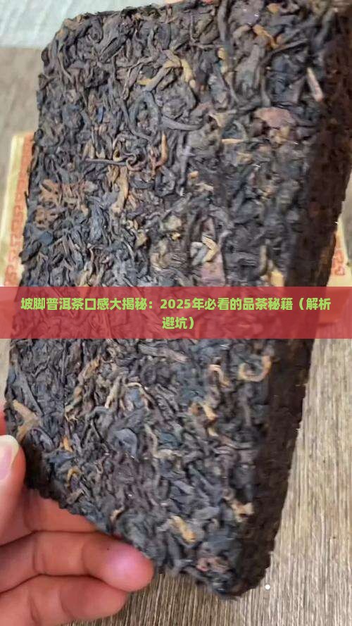 坡脚普洱茶口感
