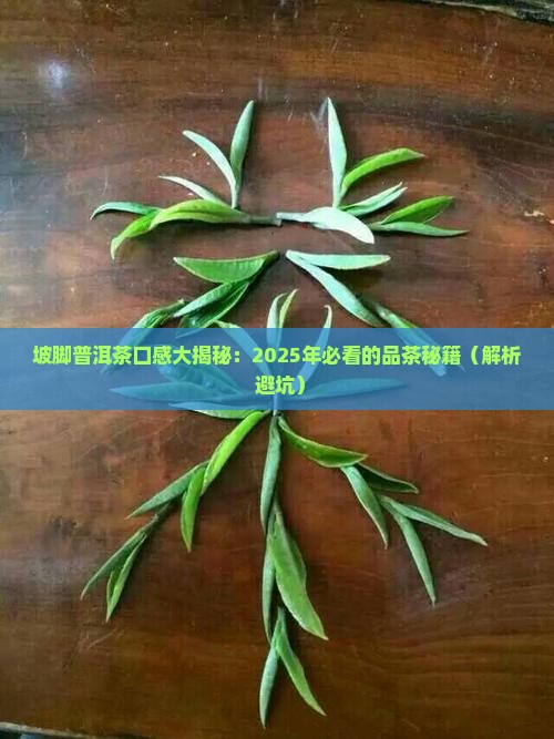 坡脚普洱茶口感