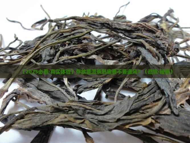 存放普洱茶需要通风吗
