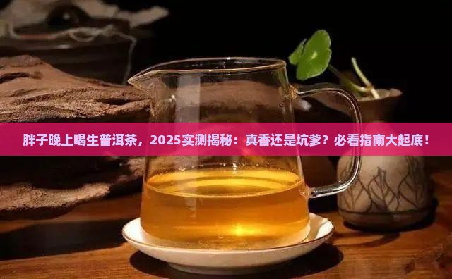 胖子晚上喝生普洱茶好不好