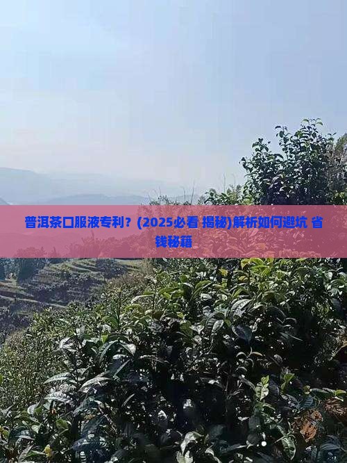 普洱茶口服液专利