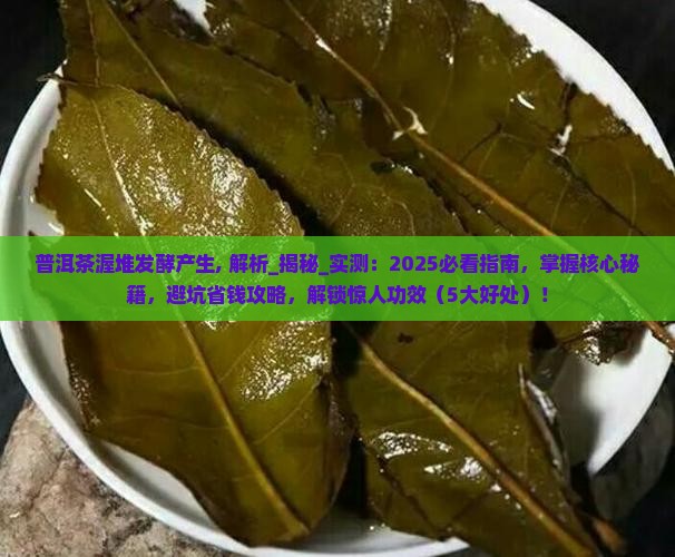 普洱茶渥堆发酵产生