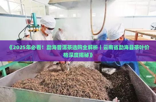 勐海老陈普洱茶
