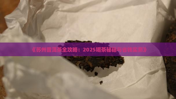 苏州喝普洱茶我人