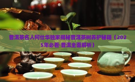 普洱茶名人何仕华