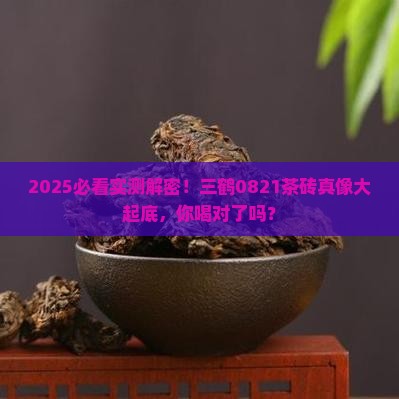 三鹤0821茶砖