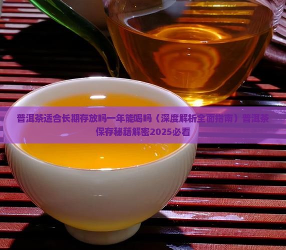 普洱茶适合长期存放吗一年