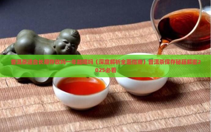 普洱茶适合长期存放吗一年
