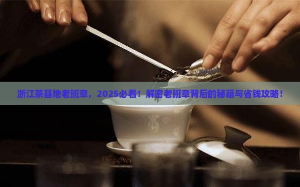 浙江茶基地老班章