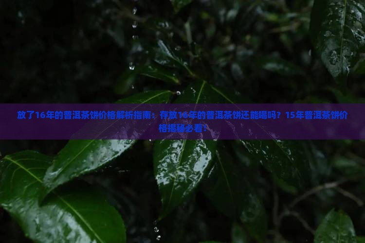 放了16年的普洱茶饼价格