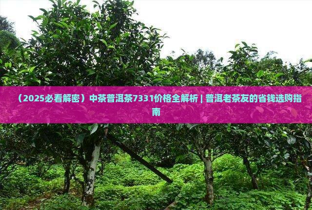 普洱茶中茶7331