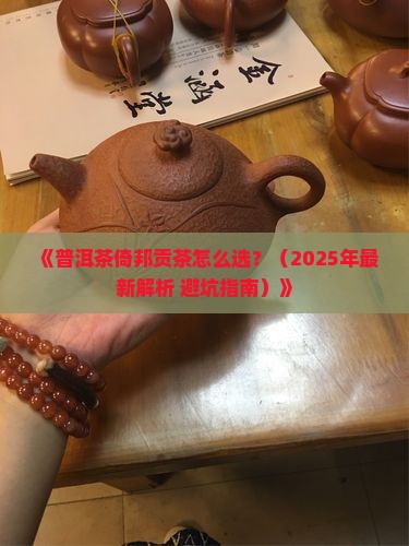 普洱茶推荐倚邦贡茶