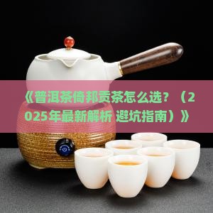 普洱茶推荐倚邦贡茶