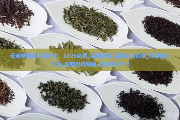 云南普洱茶同类对比