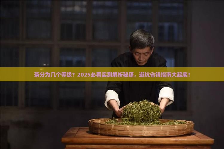 茶分为几个等级