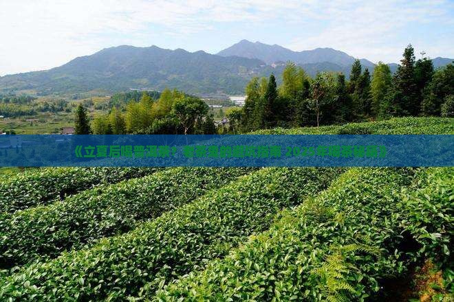 立夏后的普洱茶怎么喝