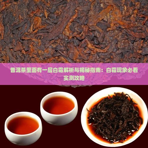 普洱茶里面有一层白霜