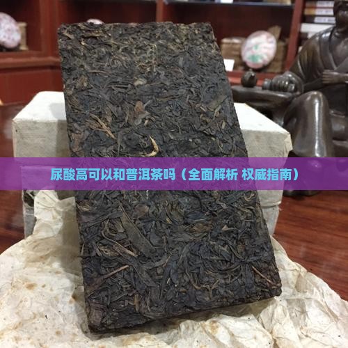 尿酸高可以和普洱茶吗