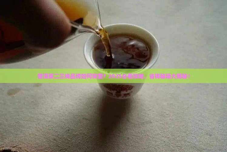 普洱茶二三线品牌的规划