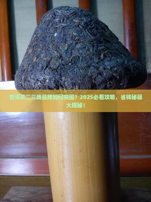 普洱茶二三线品牌的规划
