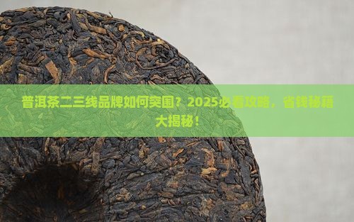 普洱茶二三线品牌的规划