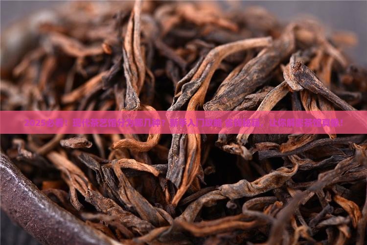 现代茶艺馆分为
