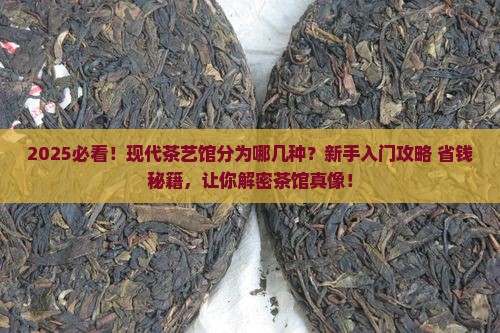 现代茶艺馆分为