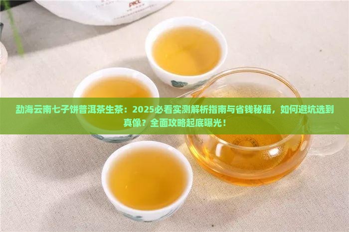 勐海云南七子饼普洱茶生茶