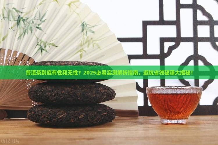 普洱茶有性和无性