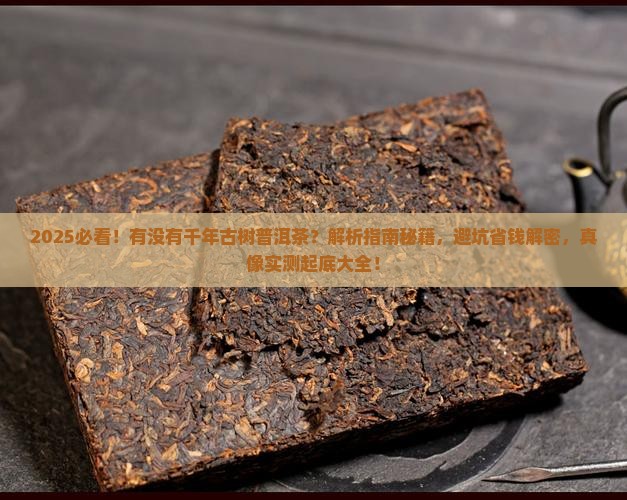 有没有千年古树普洱茶