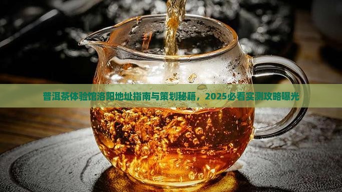 普洱茶体验馆洛阳