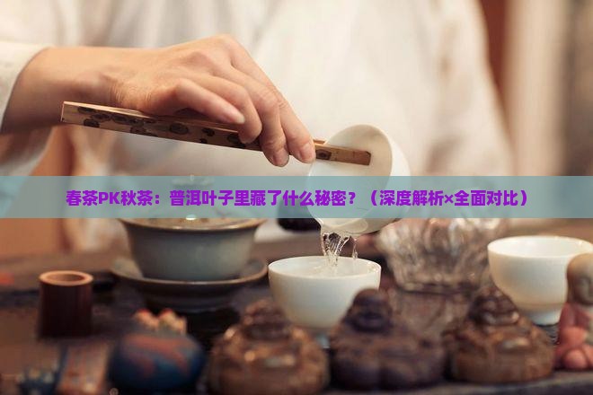 普洱春茶与秋茶叶子