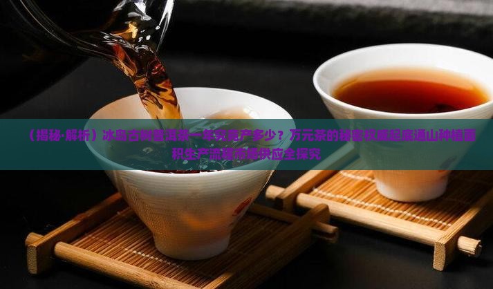 冰岛茶一年的茶产量