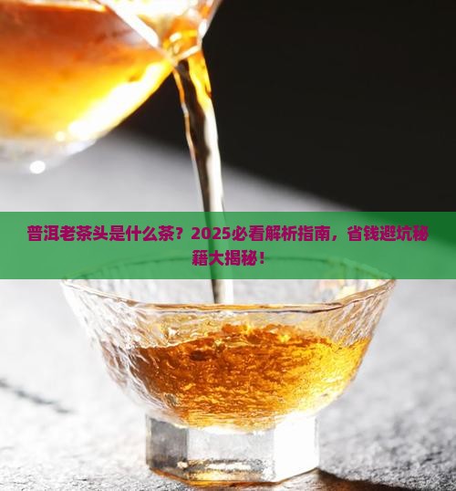 普洱老茶头是什么茶