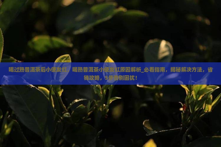喝过熟普洱茶后小便发红