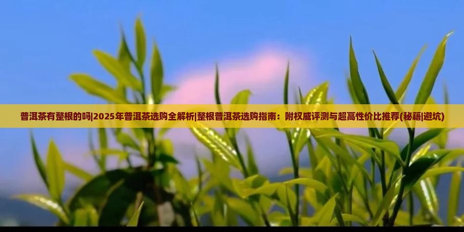 普洱茶有整根的吗