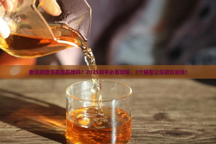 老曼峨普洱茶是品牌吗