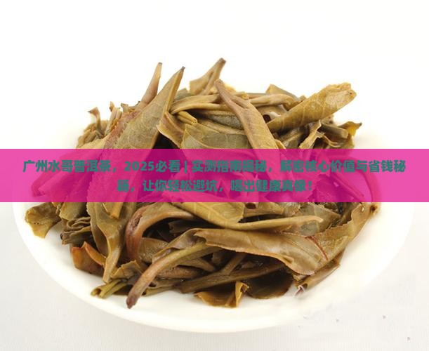 广州水哥普洱茶
