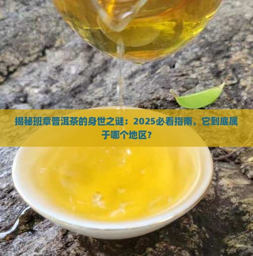 班章普洱茶属于哪个地区