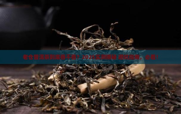 老仓普洱茶好不好