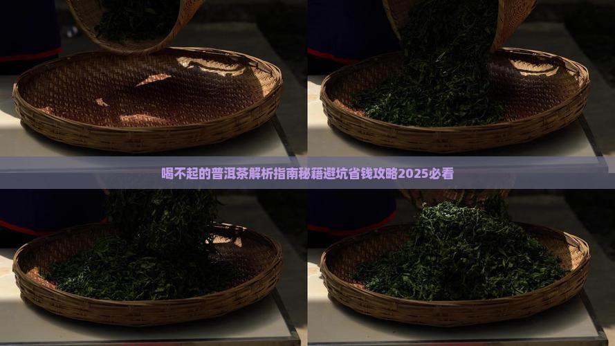 喝不起的普洱茶