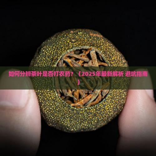 如何分辨茶叶打农药