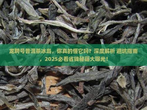 龙聘号普洱茶冰岛 龙聘号普洱茶冰岛