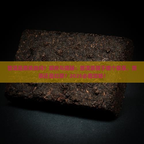 普洱是黑茶类吗