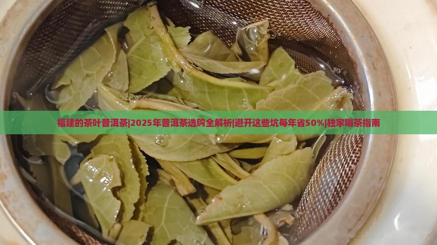 福建的茶叶普洱茶
