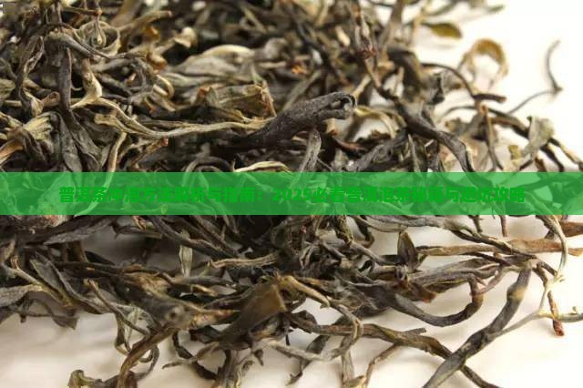 普洱茶怎么泡才嫩
